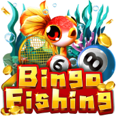 Câu Cá Bingo d88