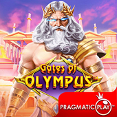 Cổng Olympus d88
